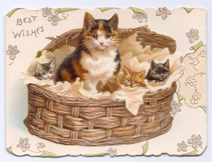 Framed Print : Cat and kittens in a basket on a greetings card Framed Print : Cat and kittens in a basket on a greetings card