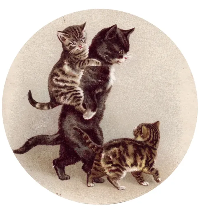 Framed Print : Cat and two kittens on a greetings card Framed Print : Cat and two kittens on a greetings card