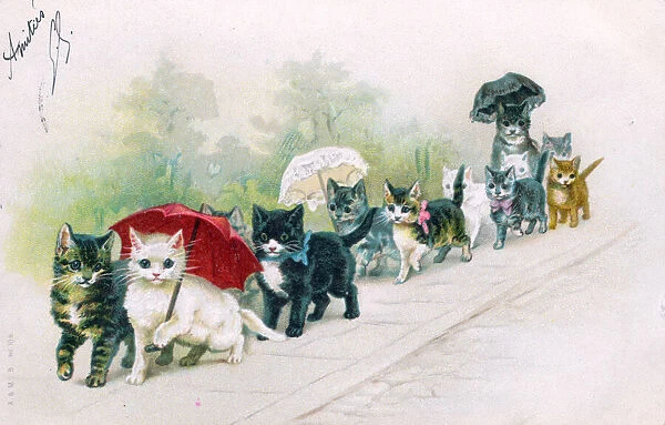 Cat and kittens with parasols on a postcard