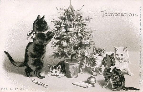Cat and kittens with a tree on a Christmas postcard