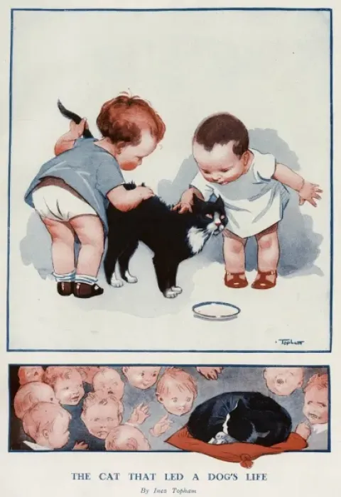 Framed Print : The cat that lead a dogs life Framed Print : The cat that lead a dogs life