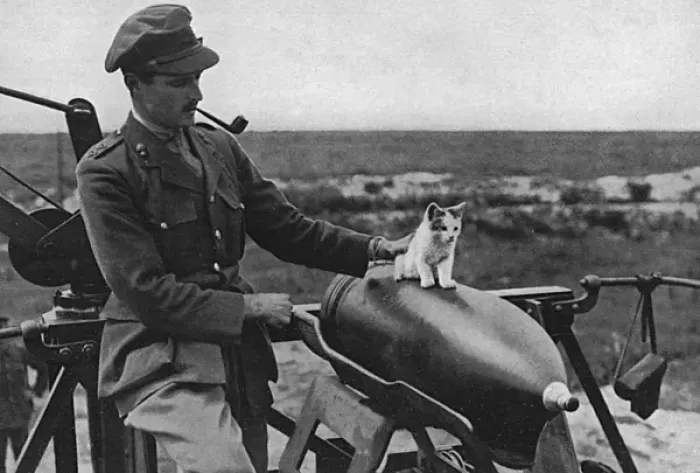 Framed Print : Cat as a mascot of a gun crew on Western Front Framed Print : Cat as a mascot of a gun crew on Western Front