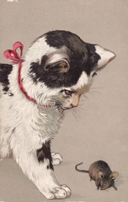 Framed Print : Cat & mouse Framed Print : Cat & mouse