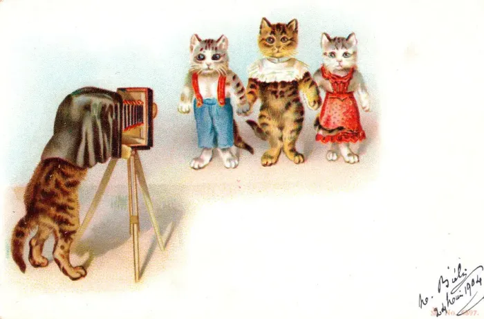 Framed Print : Cat photographer and clients on a French postcard Framed Print : Cat photographer and clients on a French postcard