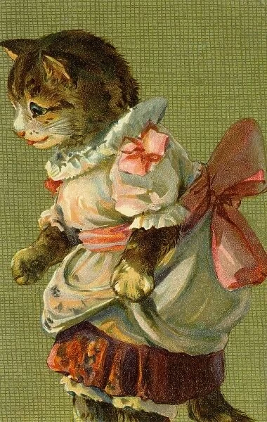 Cat with pink bow by g h Thompson