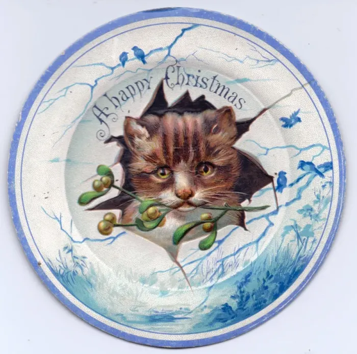 Framed Print : Cat on plate design on a Christmas card Framed Print : Cat on plate design on a Christmas card