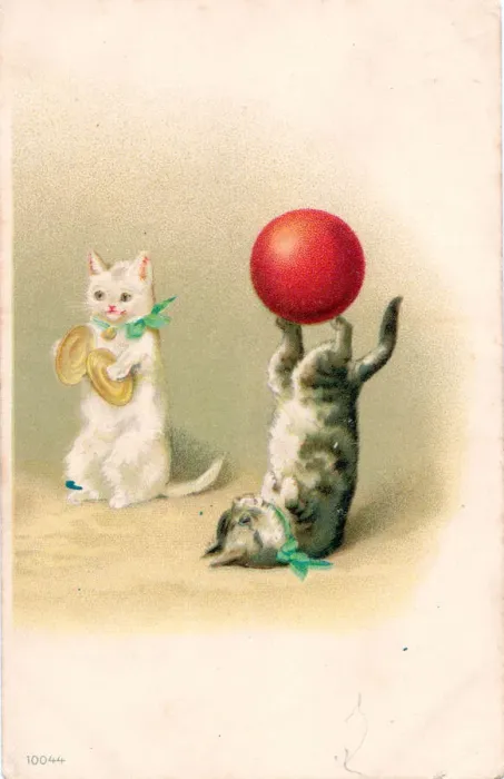Framed Print : Cat playing cymbals with cat and ball on a postcard Framed Print : Cat playing cymbals with cat and ball on a postcard