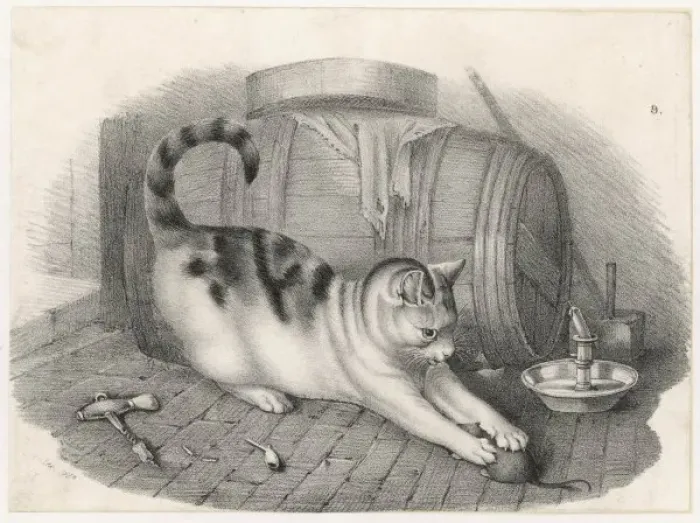Framed Print : Cat Plays with a Mouse Framed Print : Cat Plays with a Mouse
