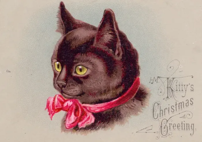 Framed Print : Cat in red ribbon on a Christmas card Framed Print : Cat in red ribbon on a Christmas card