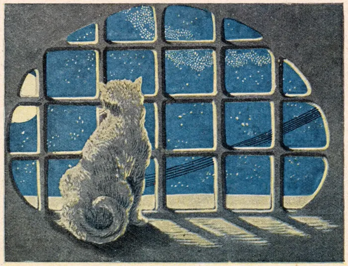 Framed Print : A cat sits by a window and gazes at the moon and night sky Framed Print : A cat sits by a window and gazes at the moon and night sky