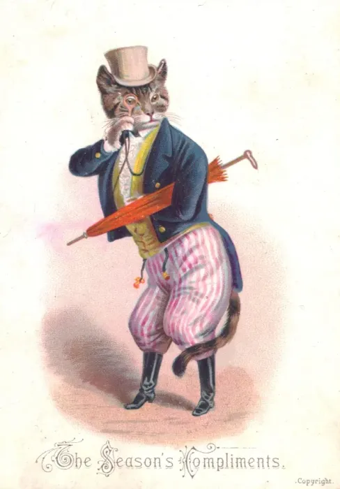Framed Print : Cat in smart clothes on a Christmas card Framed Print : Cat in smart clothes on a Christmas card