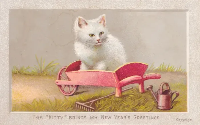 Framed Print : Cat in wheelbarrow on a New Year card Framed Print : Cat in wheelbarrow on a New Year card