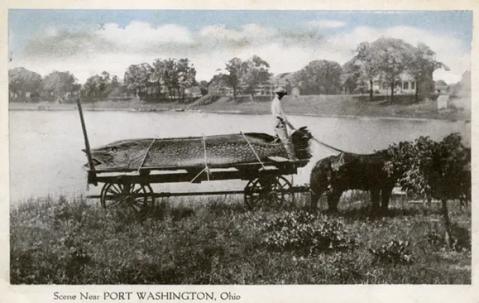 Framed Print : Catch of Giant Pike near Port Washington, Ohio, USA Framed Print : Catch of Giant Pike near Port Washington, Ohio, USA