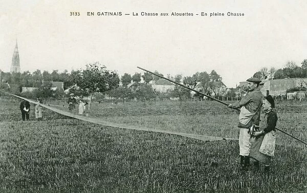 Catching larks at Gatinais, France
