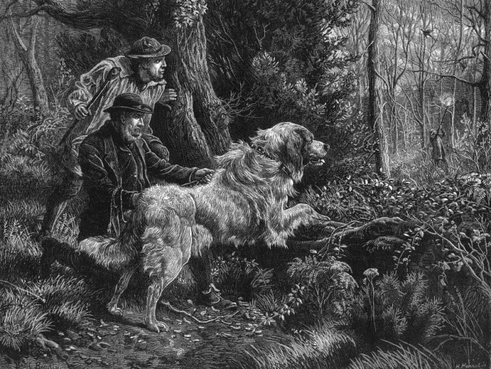 Framed Print : Catching a poacher Framed Print : Catching a poacher