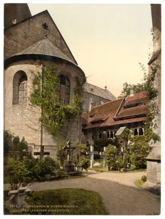Framed Print : Cathedral, churchyard and 1, 000 year old rose tree, Hildeshe Framed Print : Cathedral, churchyard and 1, 000 year old rose tree, Hildeshe