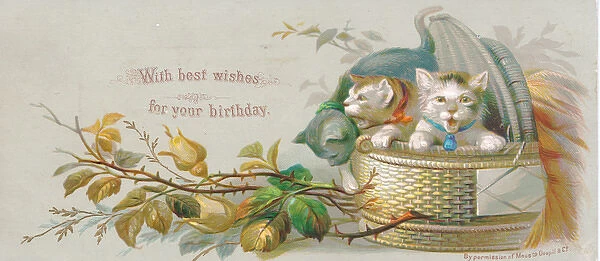 Two cats in a basket on a birthday card