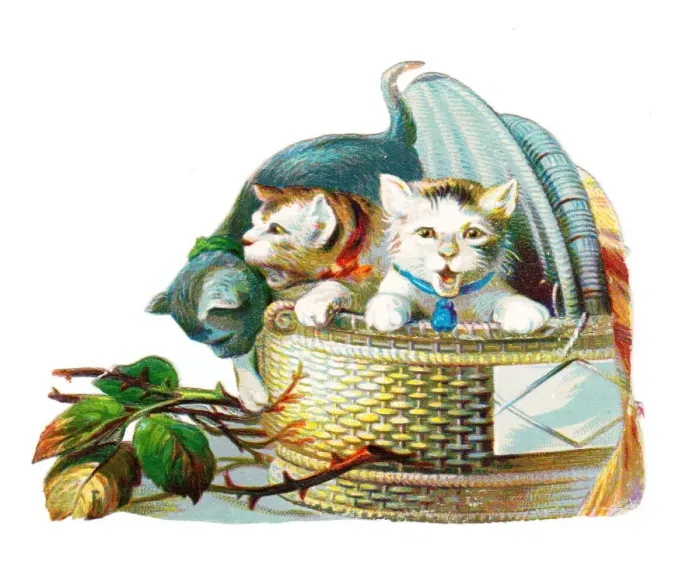 Framed Print : Three cats in a basket on a Victorian scrap Framed Print : Three cats in a basket on a Victorian scrap