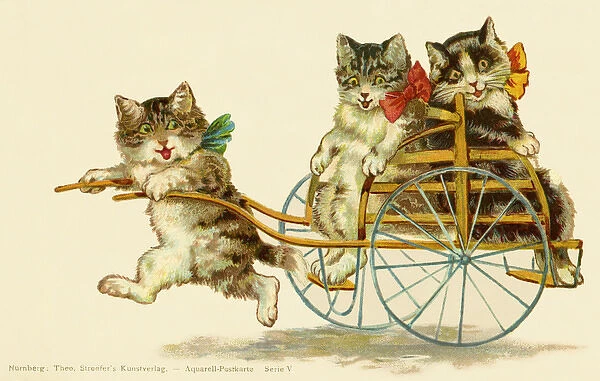 Cats in a cart