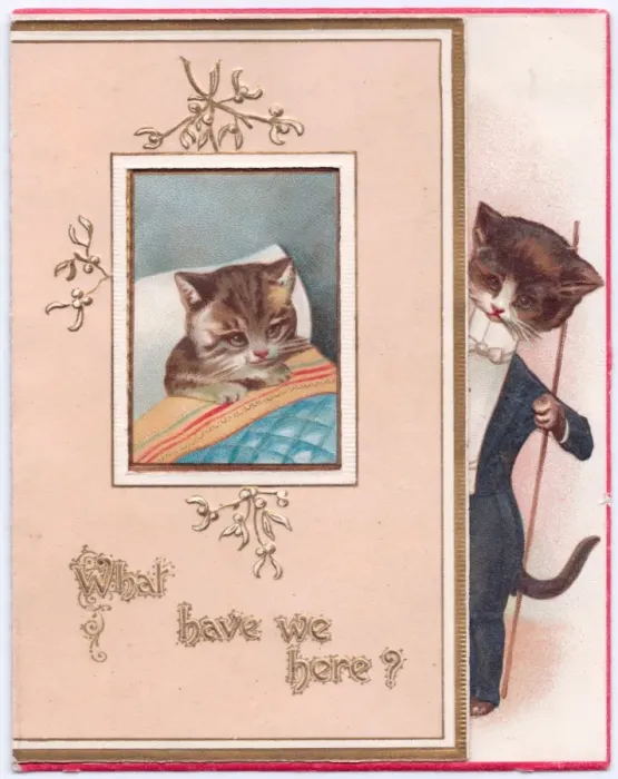 Framed Print : Two cats on a Christmas card Framed Print : Two cats on a Christmas card