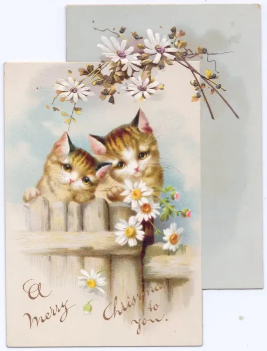 Framed Print : Two cats on a Christmas card Framed Print : Two cats on a Christmas card