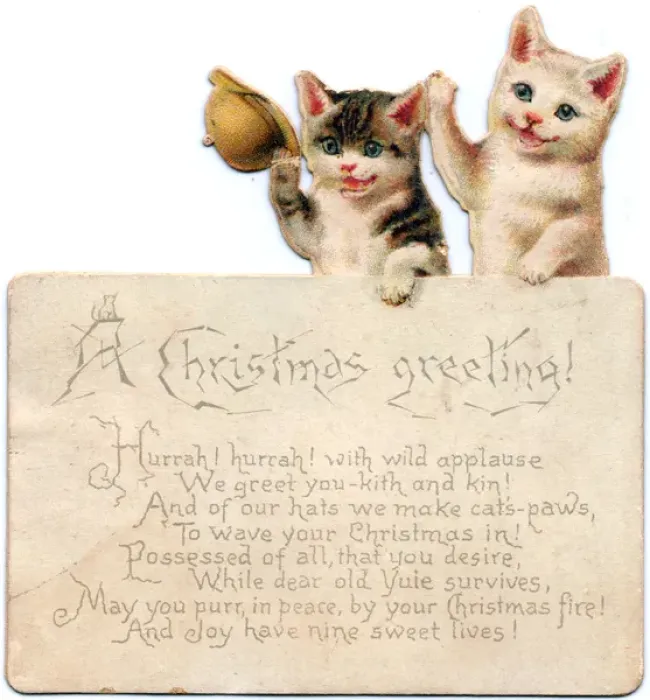 Framed Print : Two cats on a Christmas card Framed Print : Two cats on a Christmas card