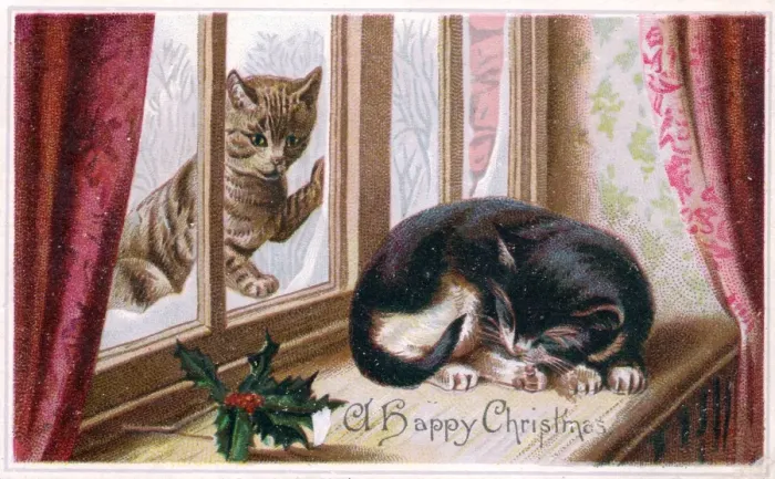 Framed Print : Two cats on a Christmas card Framed Print : Two cats on a Christmas card