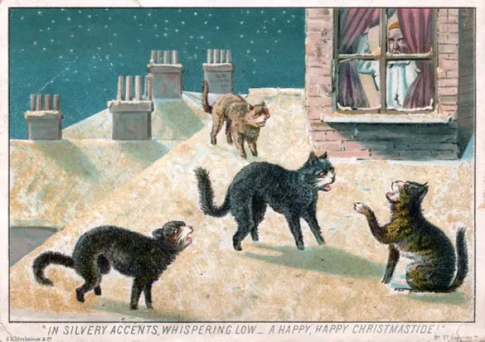 Framed Print : Four cats on a Christmas card Framed Print : Four cats on a Christmas card