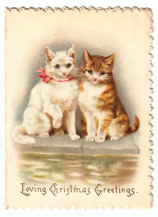 Framed Print : Two cats on a Christmas card Framed Print : Two cats on a Christmas card