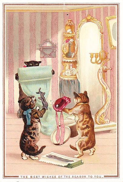 Cats in a dress shop on a Christmas card