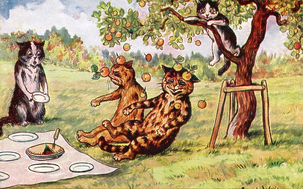 Four cats having a picnic