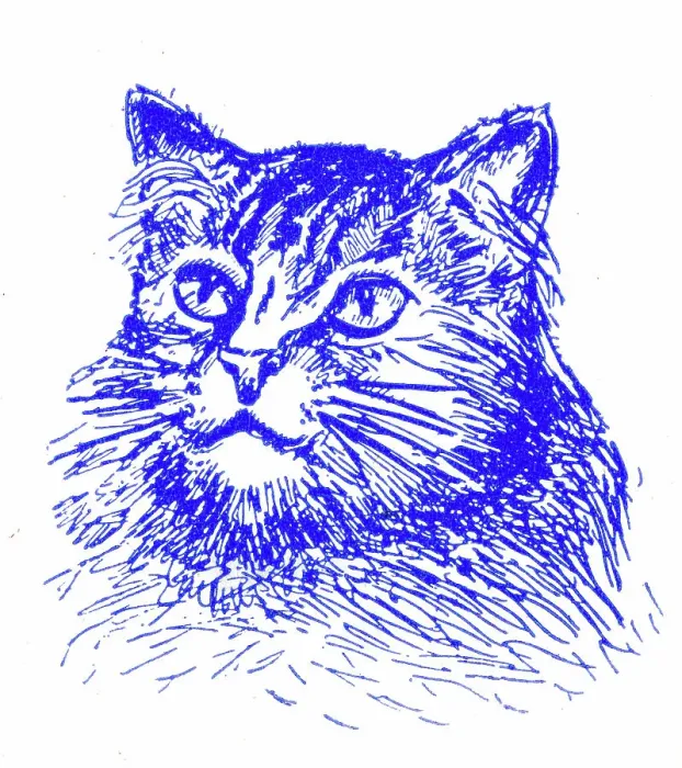 Framed Print : Cat's head - 1950s printer's block Framed Print : Cat's head - 1950s printer's block