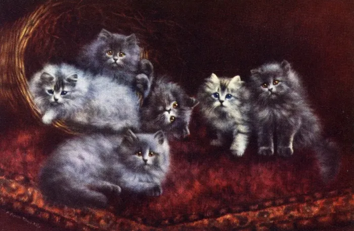 Framed Print : Cats and Kittens - A Bundle of Mischief Framed Print : Cats and Kittens - A Bundle of Mischief