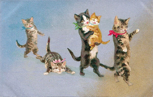 Cats and kittens on the ice on a postcard