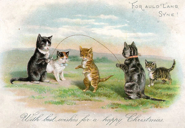 Cats and kittens skipping on a Christmas card