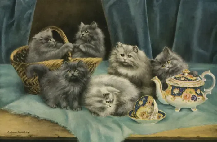 Framed Print : Cats and Kittens - Tea Time Framed Print : Cats and Kittens - Tea Time
