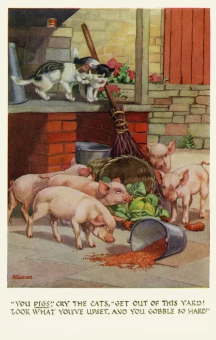 Framed Print : Cats & pigs Framed Print : Cats & pigs