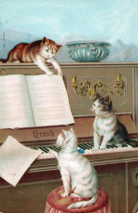 Framed Print : Three cats playing the piano on a greetings postcard Framed Print : Three cats playing the piano on a greetings postcard
