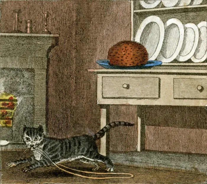 Framed Print : CATs RUN AWAY 1818 Framed Print : CATs RUN AWAY 1818