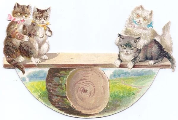 Four cats seesawing on a greetings card