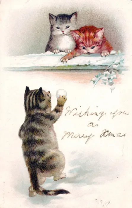 Framed Print : Three cats in the snow on a Christmas postcard