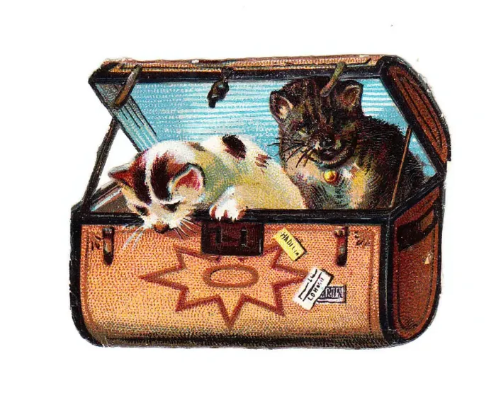 : Two cats in a suitcase on a Victorian scrap : Two cats in a suitcase on a Victorian scrap