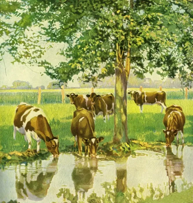 Framed Print : Cattle drinking Framed Print : Cattle drinking