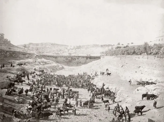 Framed Print : Cattle market, Lower Pool of Gihon, (Siloam) Jerusalem Framed Print : Cattle market, Lower Pool of Gihon, (Siloam) Jerusalem