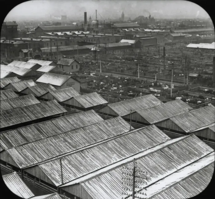 Framed Print : Cattle marshalling yards Framed Print : Cattle marshalling yards