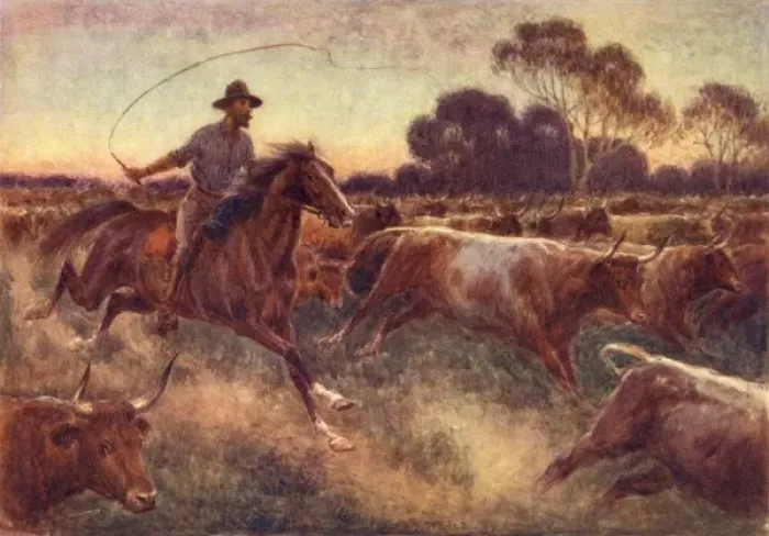 Framed Print : Cattle Rush, Australia Framed Print : Cattle Rush, Australia