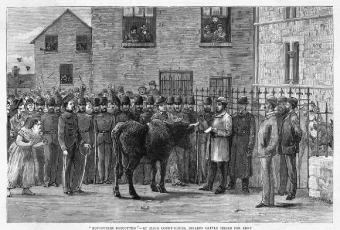 Framed Print : Cattle Seized Framed Print : Cattle Seized