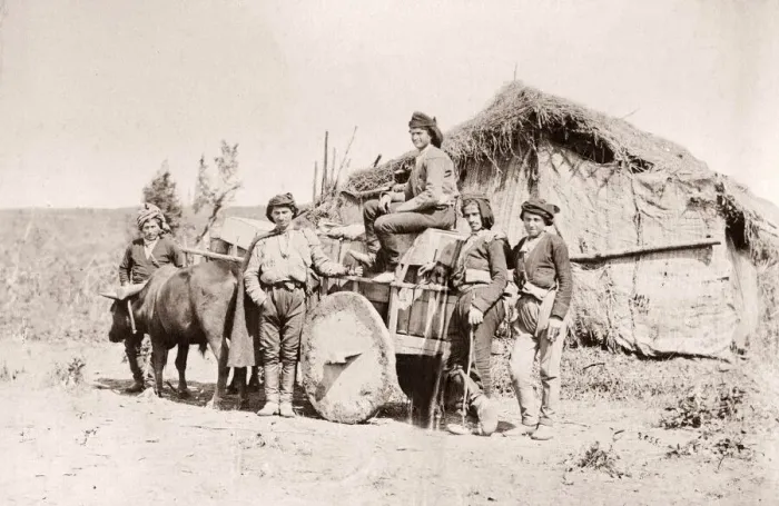 Framed Print : Caucasus Georgia - group of Georgian men with bullock cart Framed Print : Caucasus Georgia - group of Georgian men with bullock cart