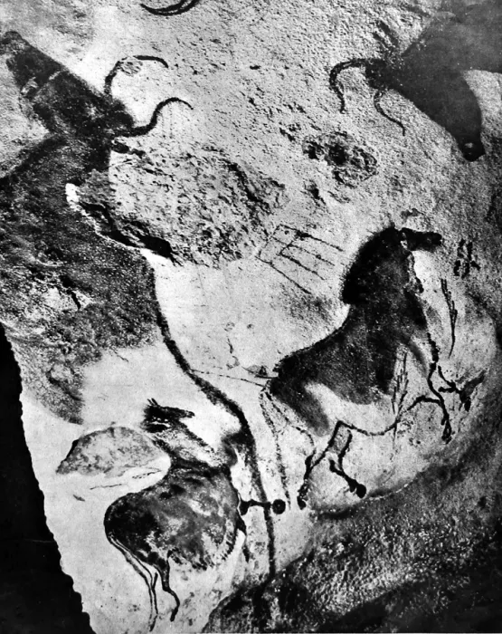 Framed Print : Cave art paintings, prehistoric discovery