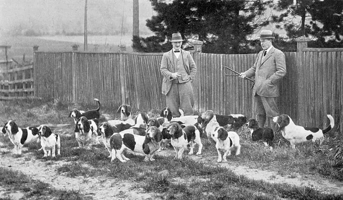 Framed Print : Cecil Aldin with his Basset hounds Framed Print : Cecil Aldin with his Basset hounds